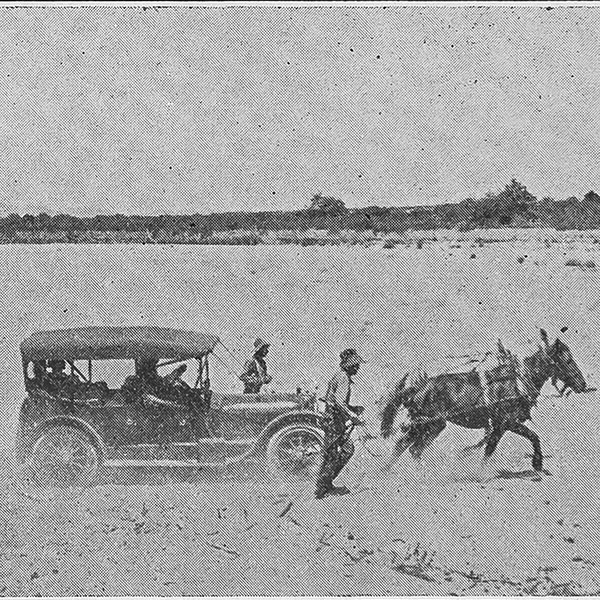 Audley Dean Nicol’s car pulled from dessert sand by horse
