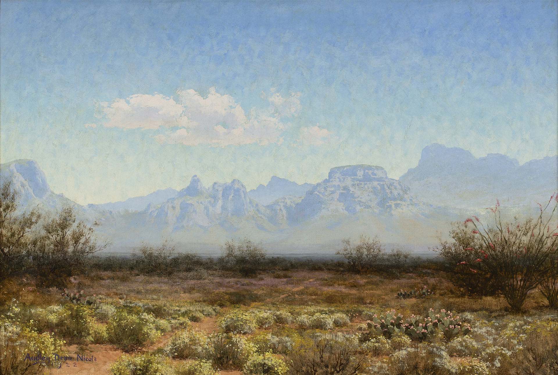 Superstition Mountains Flowers Painting